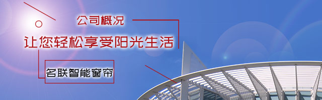 公司简介